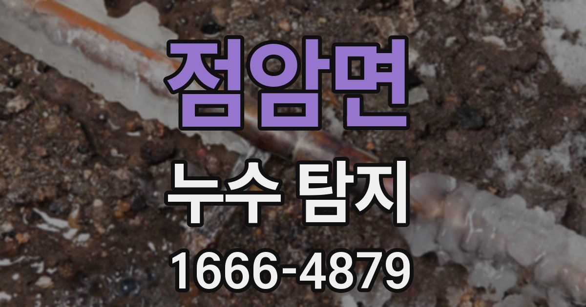 점암면 누수 탐지