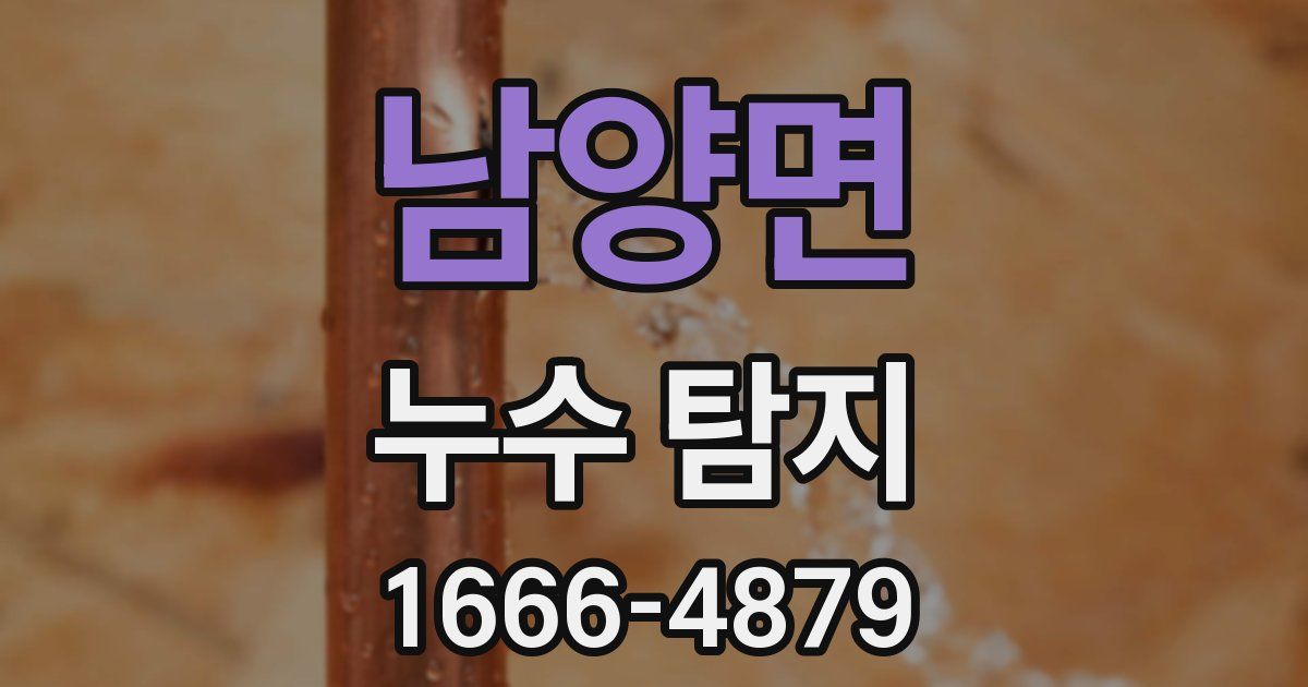 남양면 누수 탐지