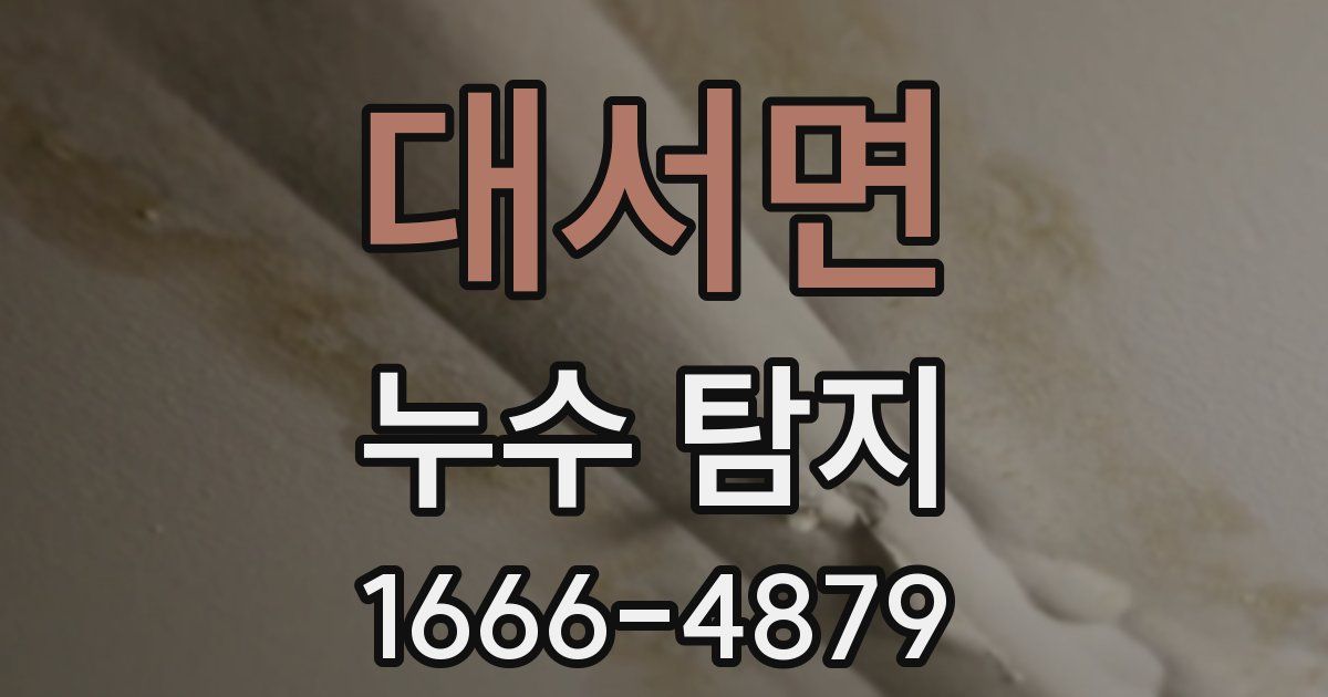대서면 누수 탐지