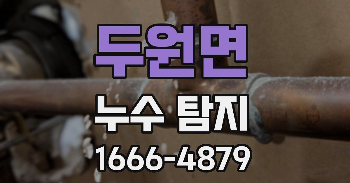 두원면 누수 탐지