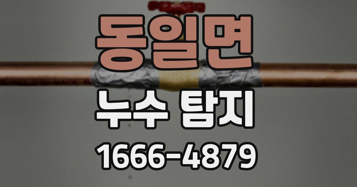 동일면 누수 탐지