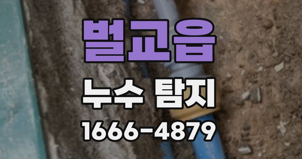 벌교읍 누수 탐지