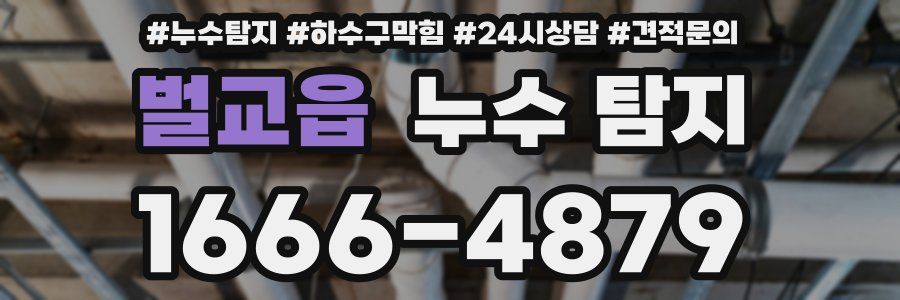 벌교읍 누수 탐지