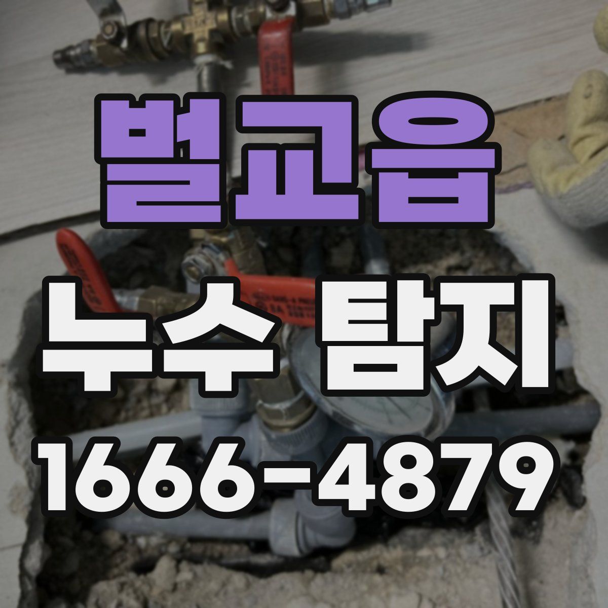 벌교읍 누수 탐지