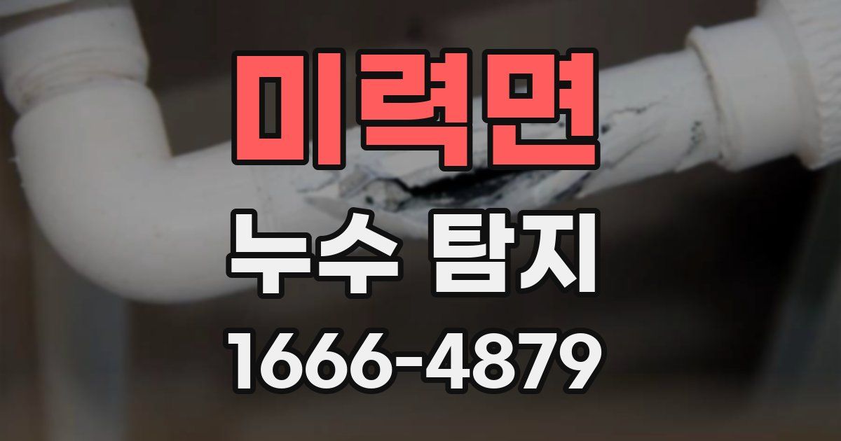 미력면 누수 탐지