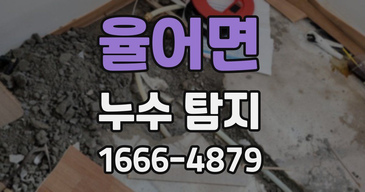 율어면 누수 탐지