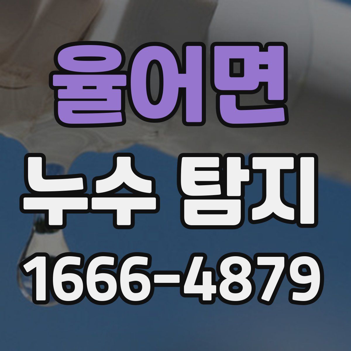 율어면 누수 탐지