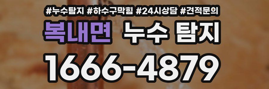 복내면 누수 탐지