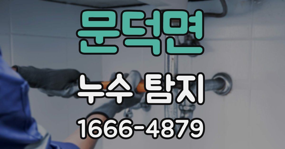 문덕면 누수 탐지