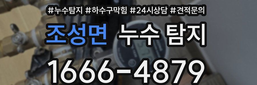 조성면 누수 탐지