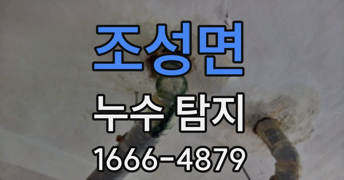 조성면 누수 탐지
