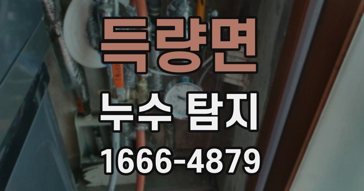 득량면 누수 탐지