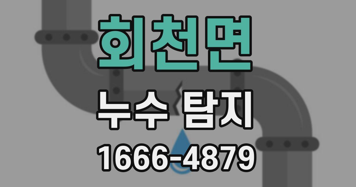 회천면 누수 탐지