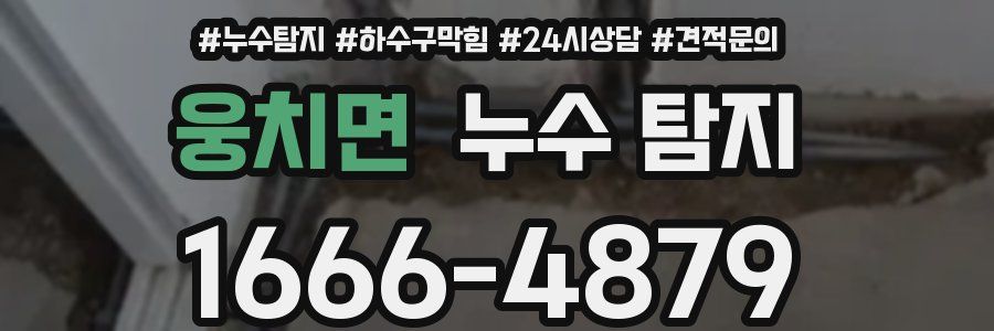 웅치면 누수 탐지