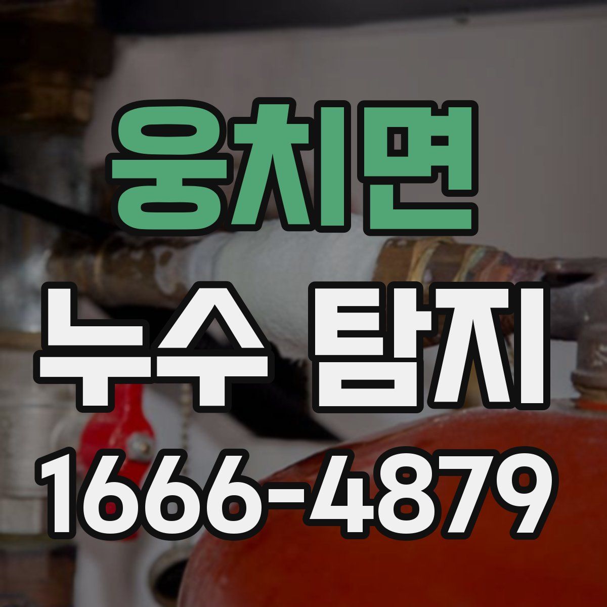 웅치면 누수 탐지