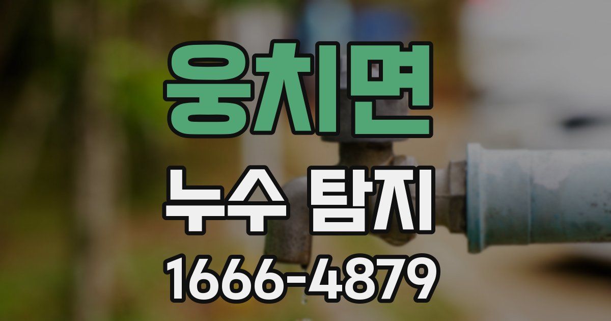 웅치면 누수 탐지