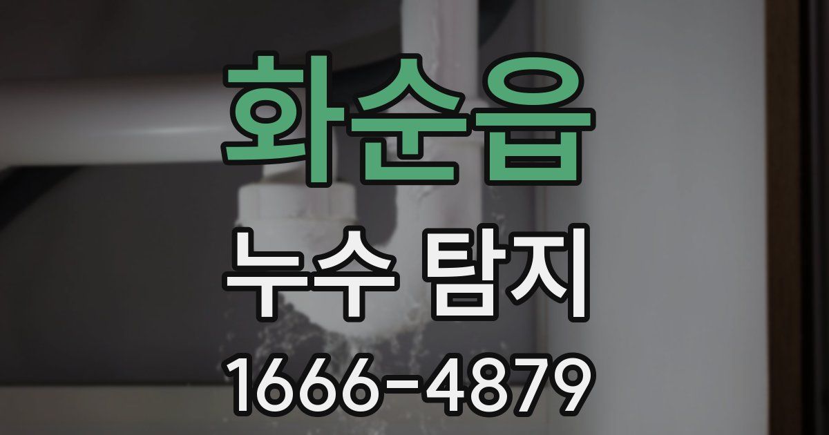 화순읍 누수 탐지