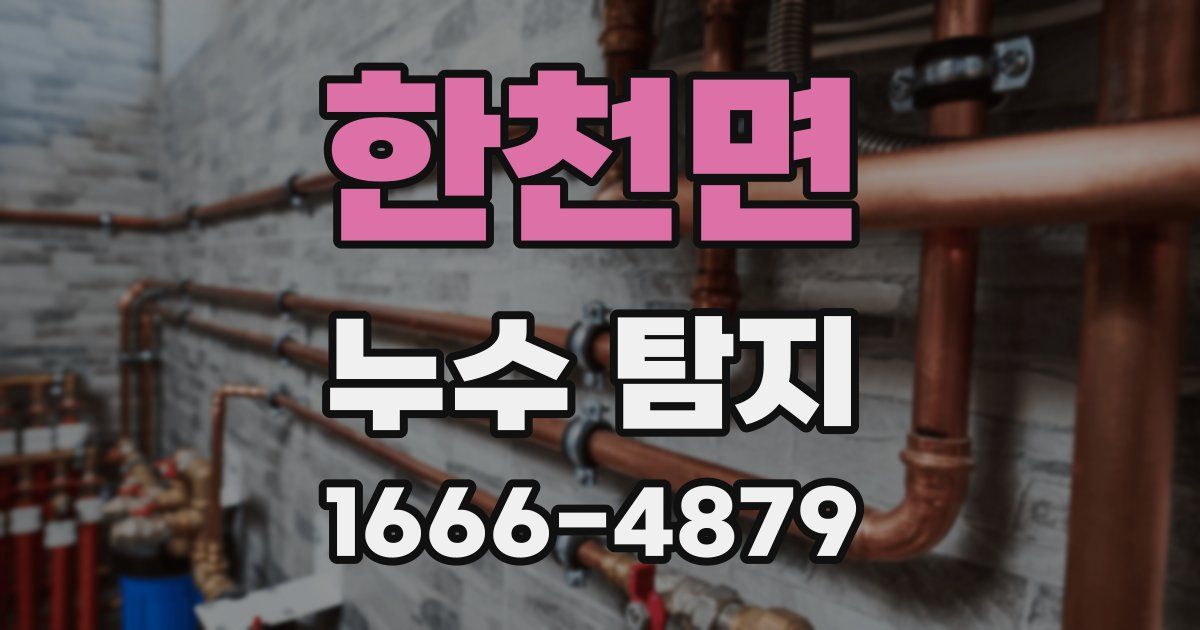 한천면 누수 탐지