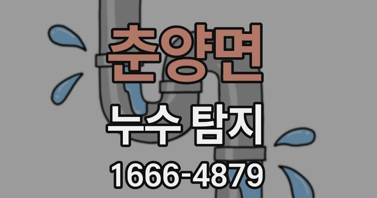 춘양면 누수 탐지