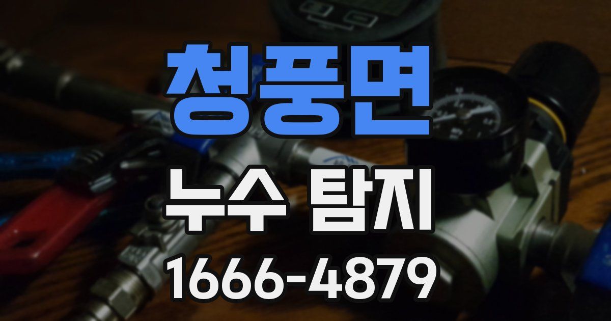청풍면 누수 탐지