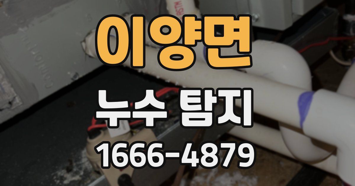 이양면 누수 탐지