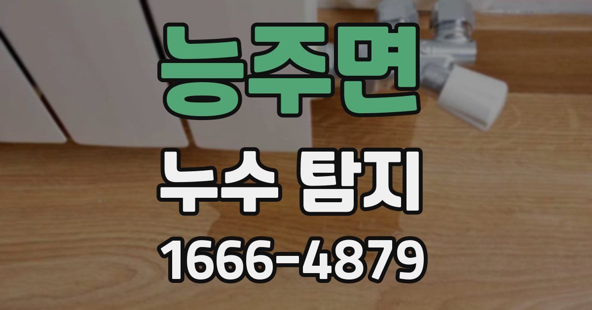 능주면 누수 탐지