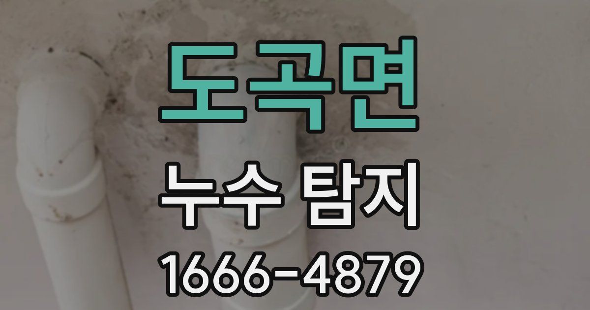 도곡면 누수 탐지