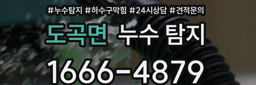 도곡면 누수 탐지