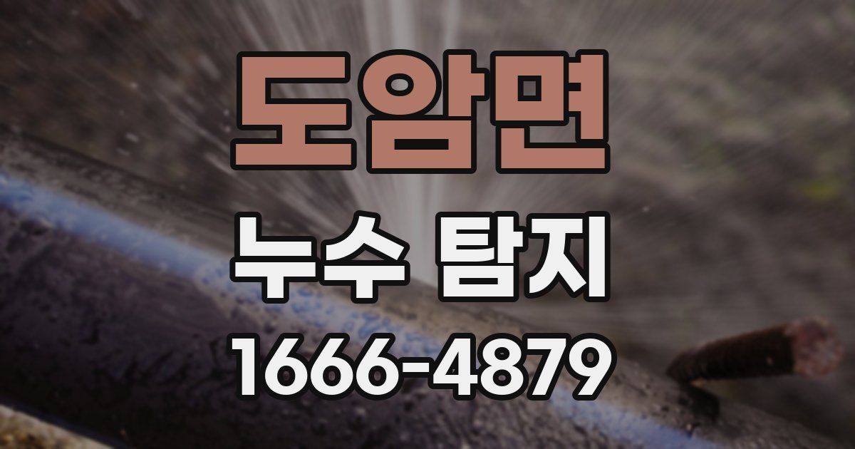 도암면 누수 탐지