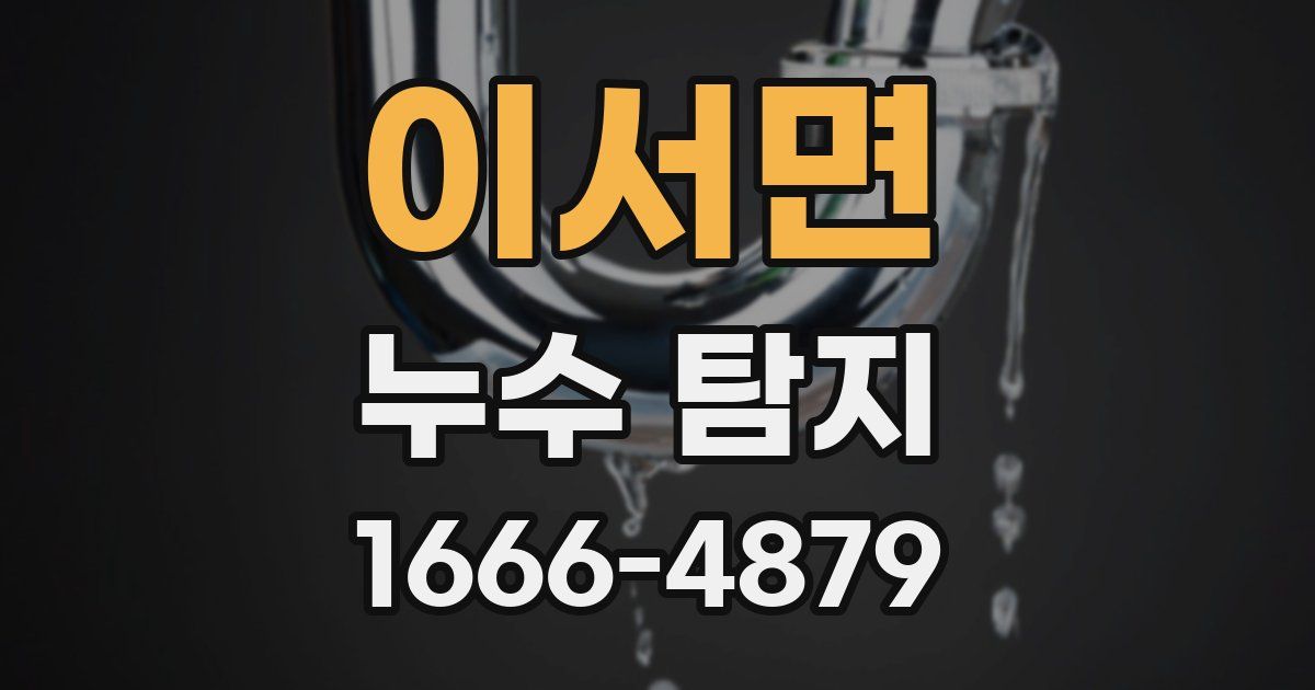 이서면 누수 탐지