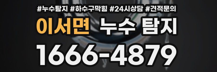 이서면 누수 탐지