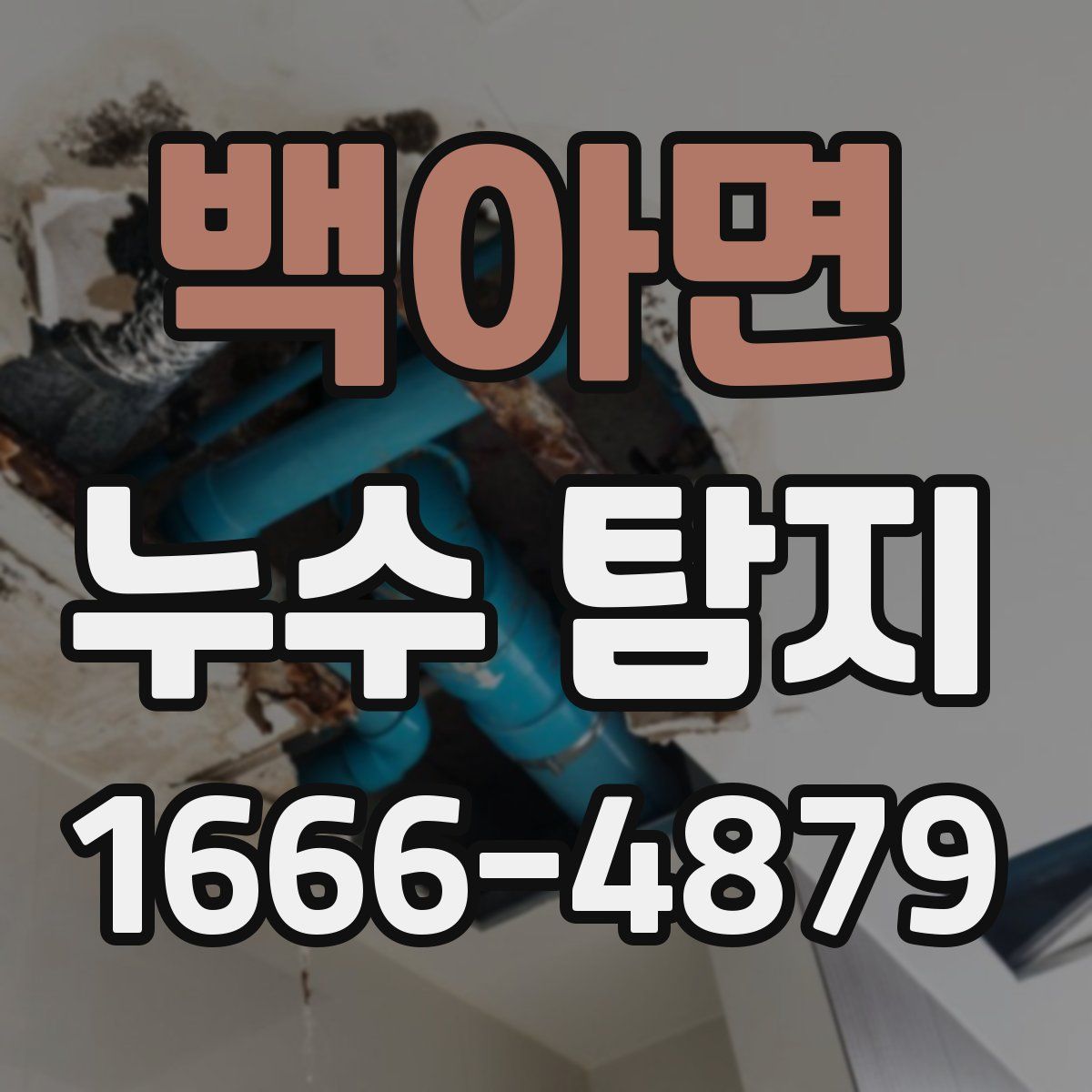 백아면 누수 탐지