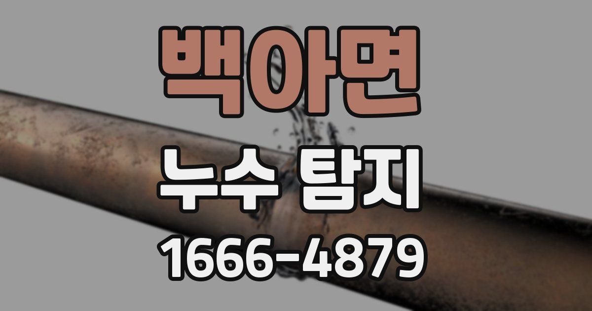 백아면 누수 탐지
