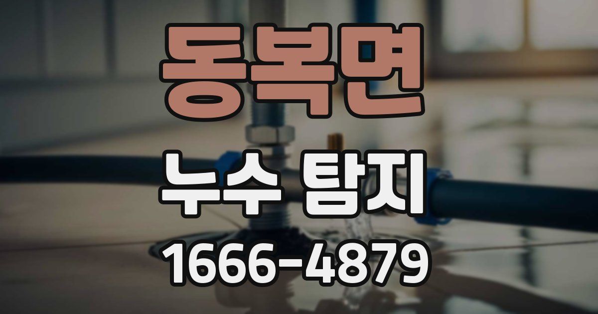 동복면 누수 탐지
