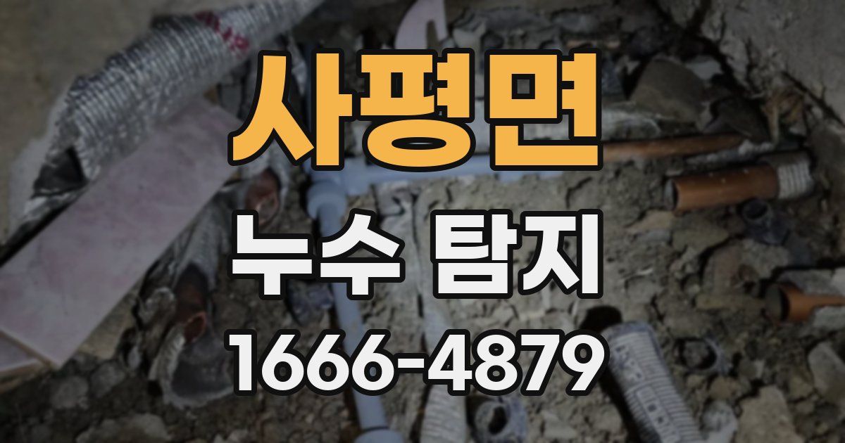 사평면 누수 탐지