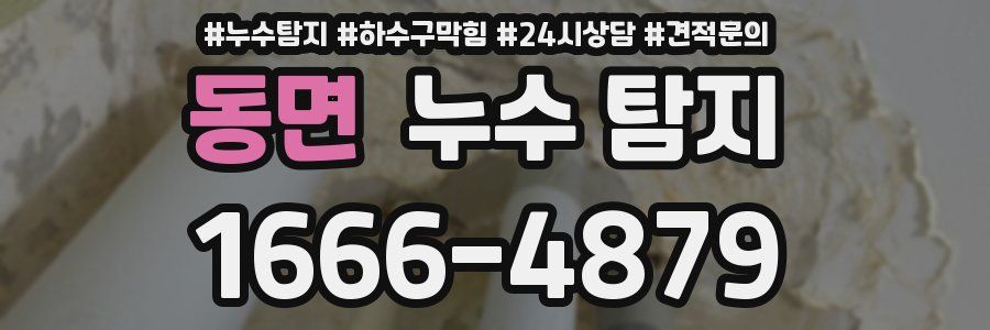 동면 누수 탐지
