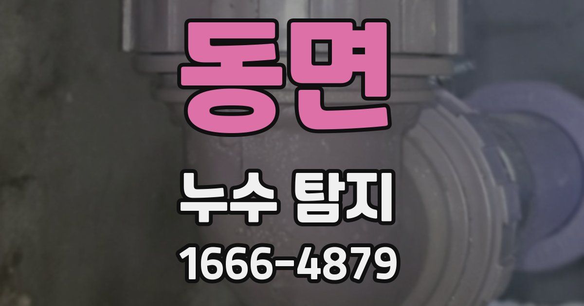 동면 누수 탐지