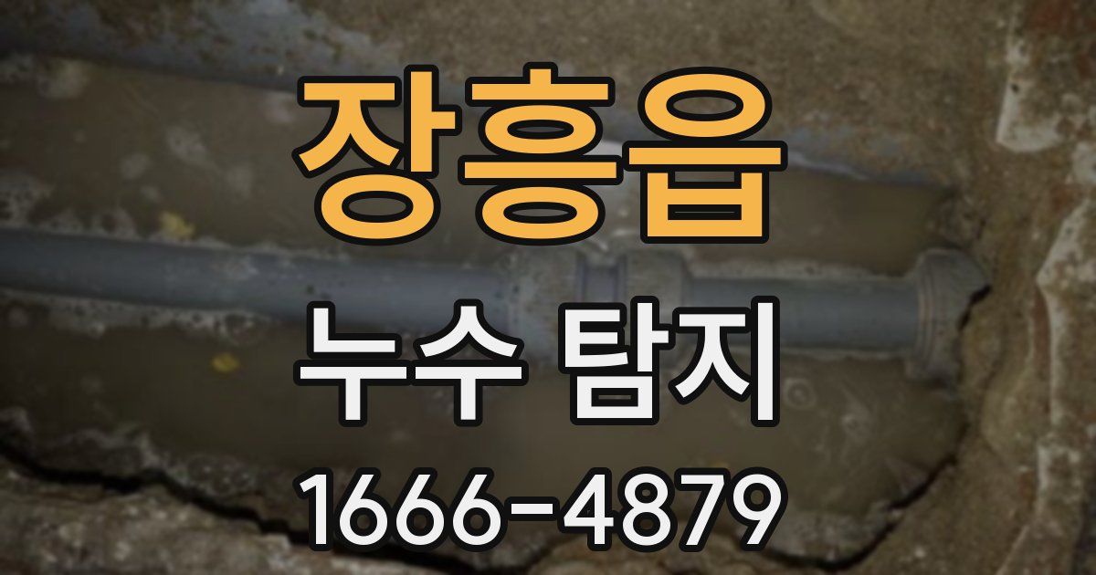 장흥읍 누수 탐지