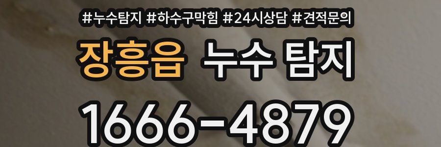 장흥읍 누수 탐지