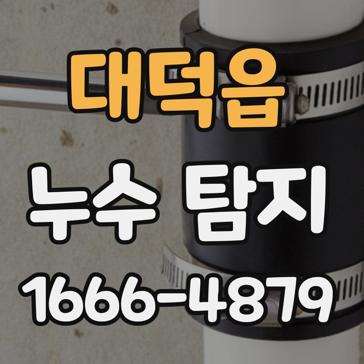 대덕읍 누수 탐지