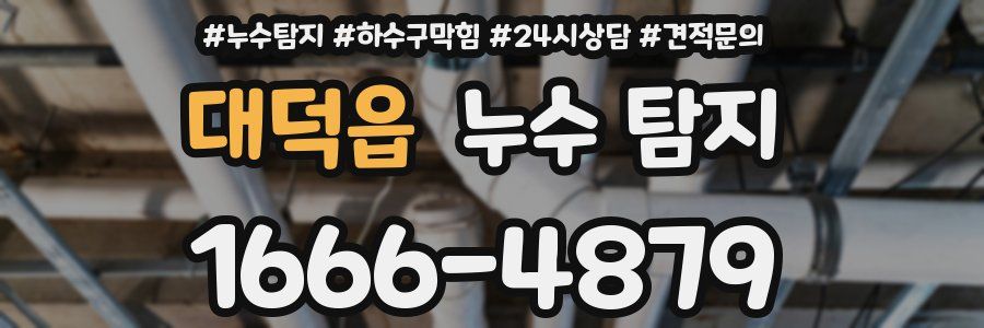 대덕읍 누수 탐지