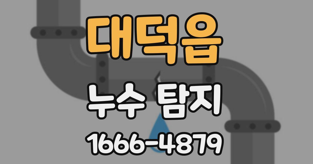 대덕읍 누수 탐지