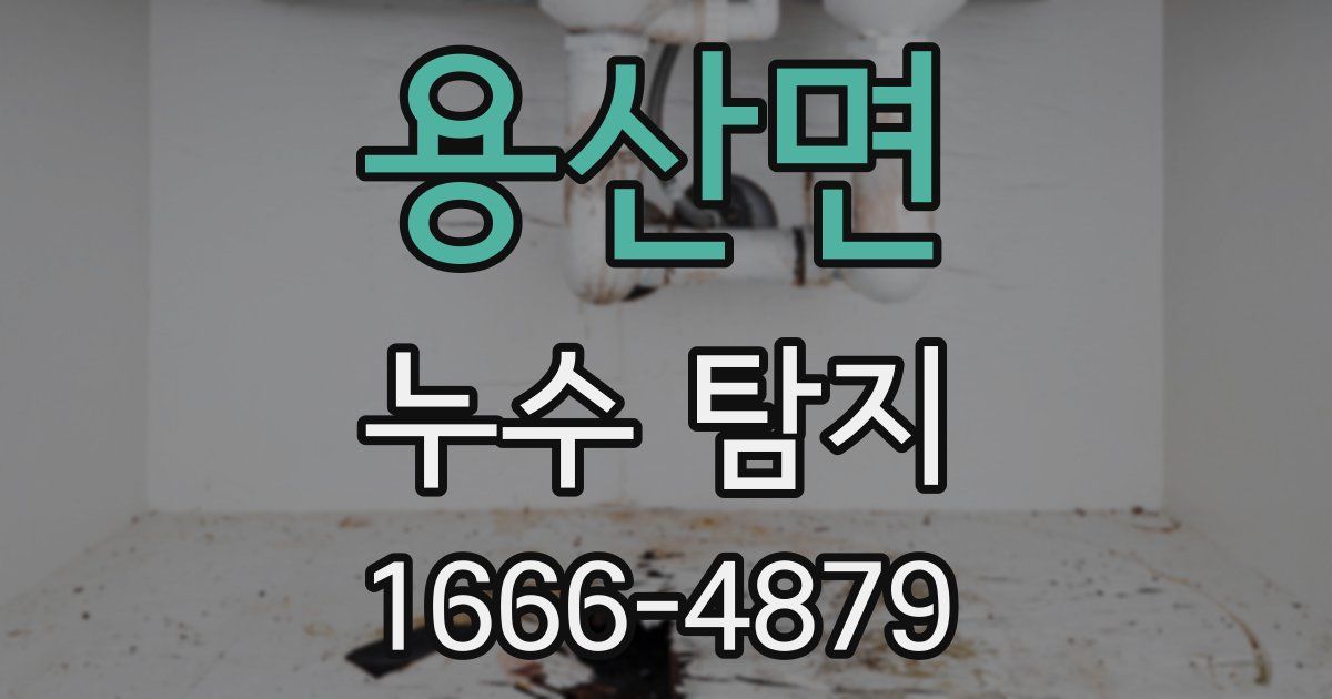 용산면 누수 탐지
