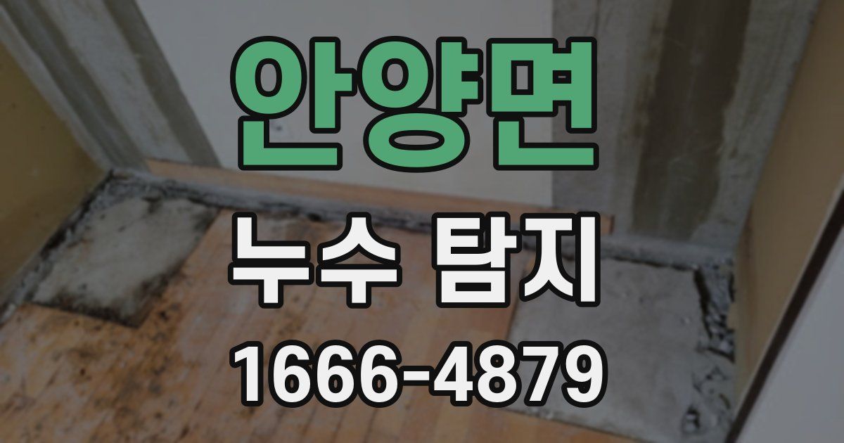 안양면 누수 탐지