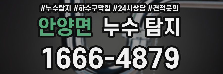 안양면 누수 탐지