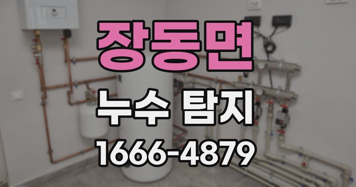 장동면 누수 탐지