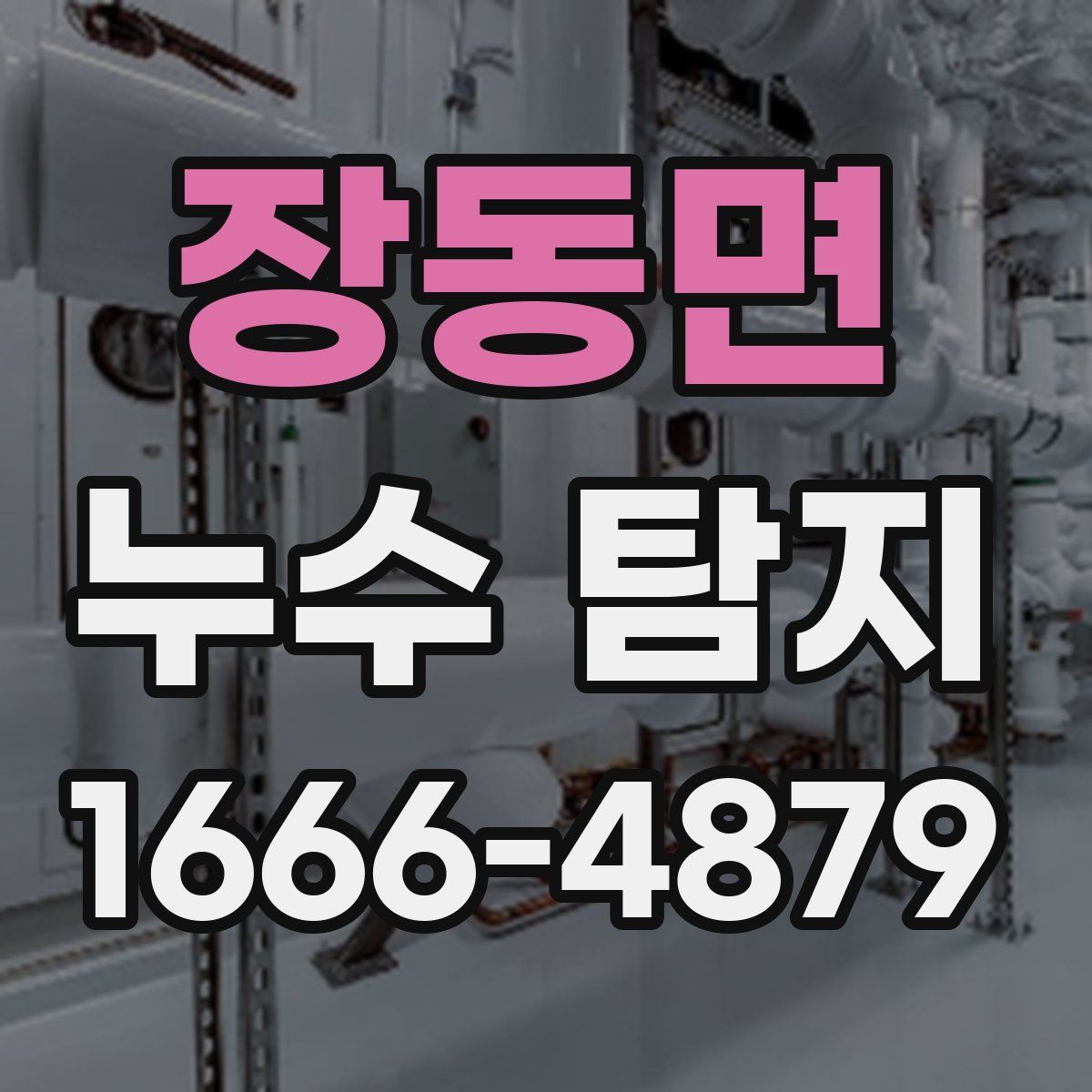 장동면 누수 탐지