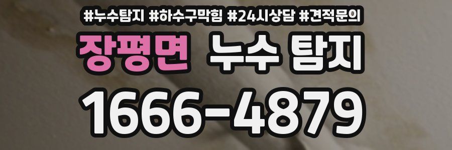 장평면 누수 탐지