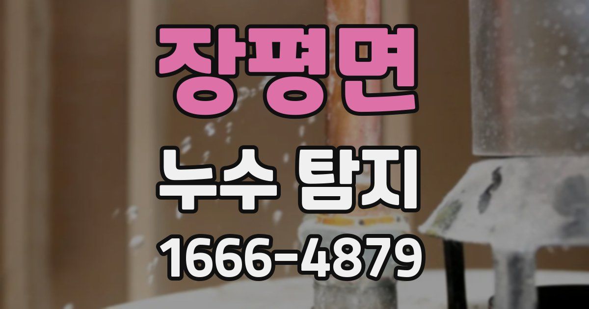장평면 누수 탐지