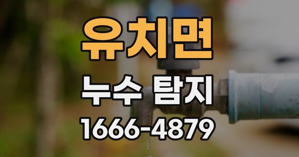 유치면 누수 탐지